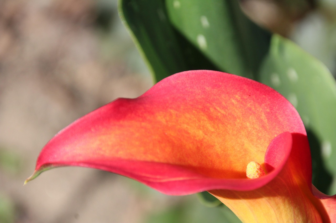 How to Create a Marketing Funnel That Converts discover effective marketing funnel strategies to guide prospects through the customer journey, boost conversions, and maximize your business growth.